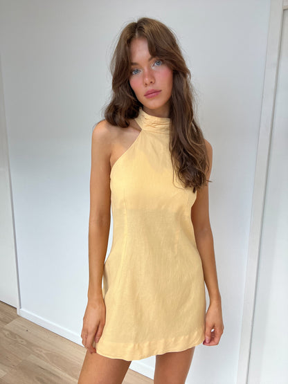 Sweet Jane Mini Dress | Mango Delight