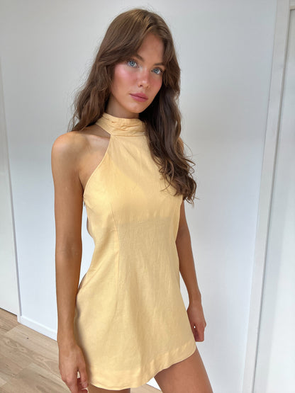 Sweet Jane Mini Dress | Mango Delight